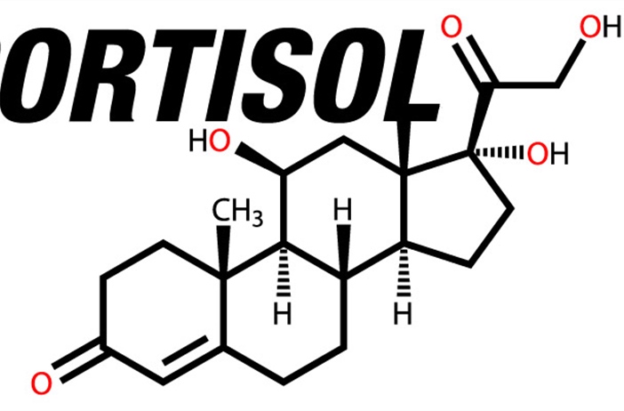Κορτιζόλη, ένας αόρατος εχθρός