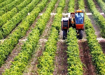 Πριμ έως 22.000 ευρώ για νέους αγρότες